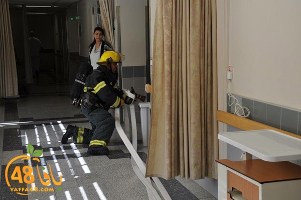 tamren asaf harof3e (13).jpg